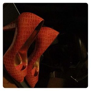 CANDIC-CROG, CANDICE ORANGE